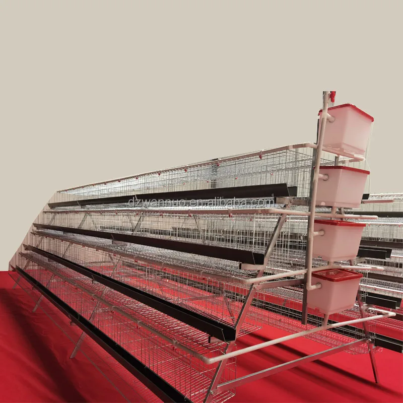 Commercial chicken cage for layers poultry farming zambia layer poultry farm chicken cage for sale 500 chicken egg layer cages