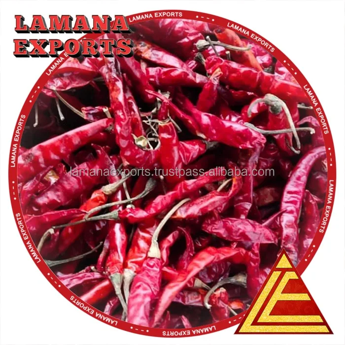 Guntur Dry Red Chilli S17 Teja with Stem Indian Chilli Premium Quality for Thailand