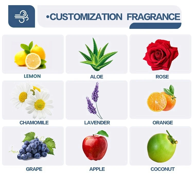 2024 New Arrival Eco-Friendly 5-in-1 All-Natural Dish and Hand Soap Liquid All-Natural Dual Purpose Detergent for Tableware