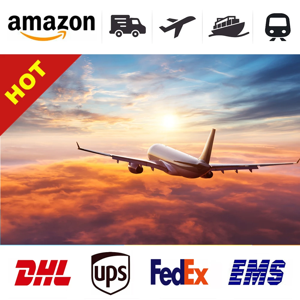 Lower Dhl International Shipping Rates Logistics Company China To Pakistan