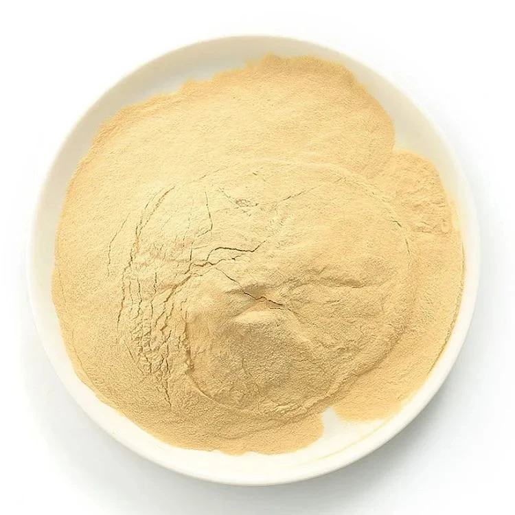 High quality High Protein 60% Best Selling Bacillus Subtilis Yeast powder