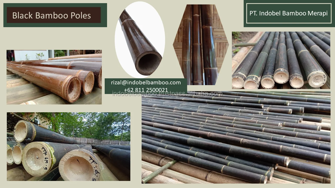 
High Quality Indonesia Bamboo Black Bamboo Treated For Construction 240cm 
