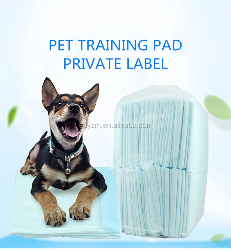 
Manufacturer Direct Sale OEM Top quality Puppy Training Pee Pads Pee Pee Training Under Pad 