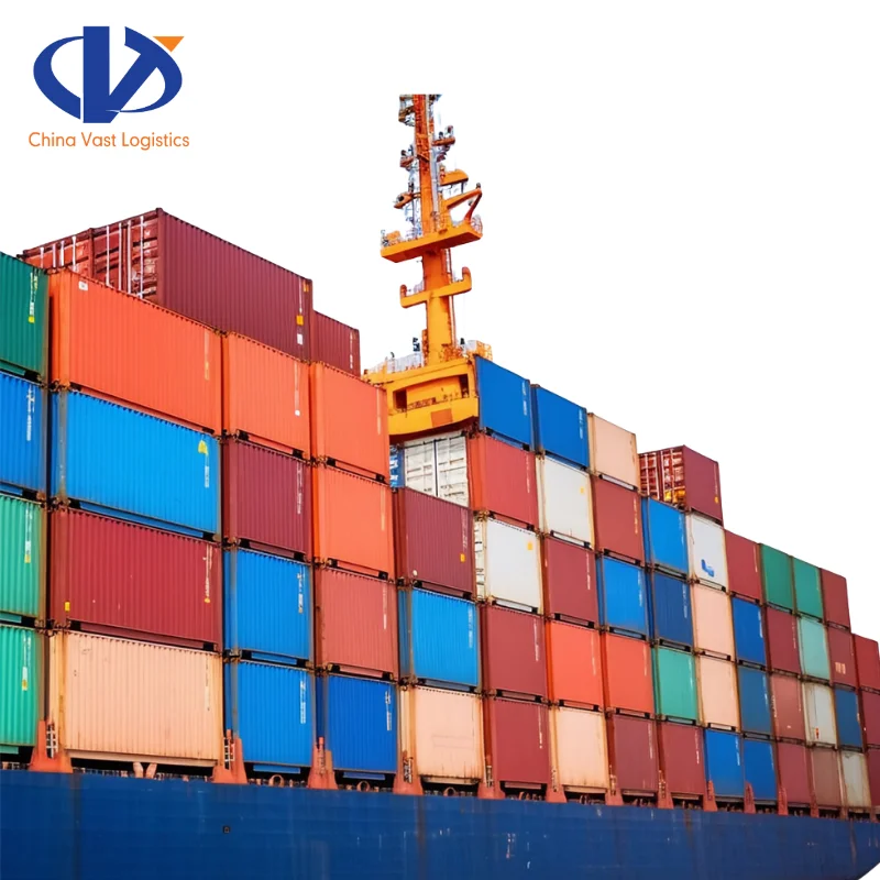 Xiamen China International Freight Forwarder to Montreal Canada Ocean Container Service FCL Shipping Agent