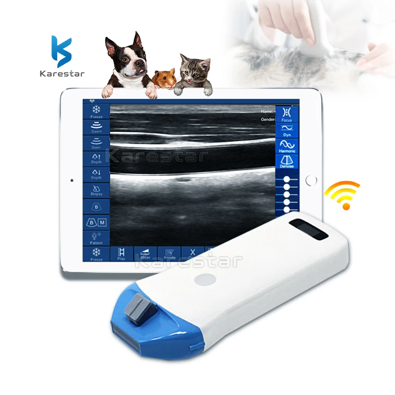 Medical Portable Convenient Diagnostic Imaging veterinary 10/14MHz wireless ultrasound probe