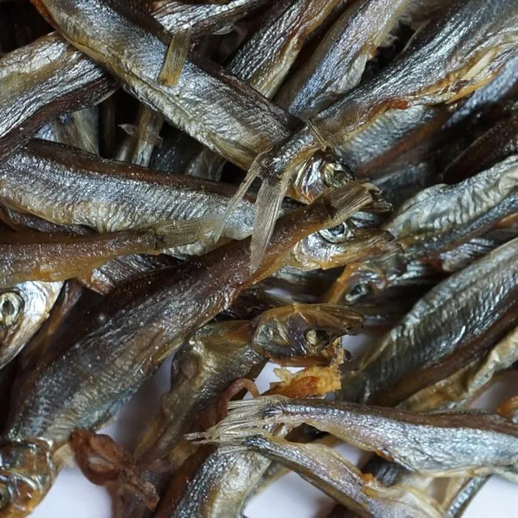 
Zhongxu Machinery calamary sea cucumber dryer stock fish dryer squid drying room 