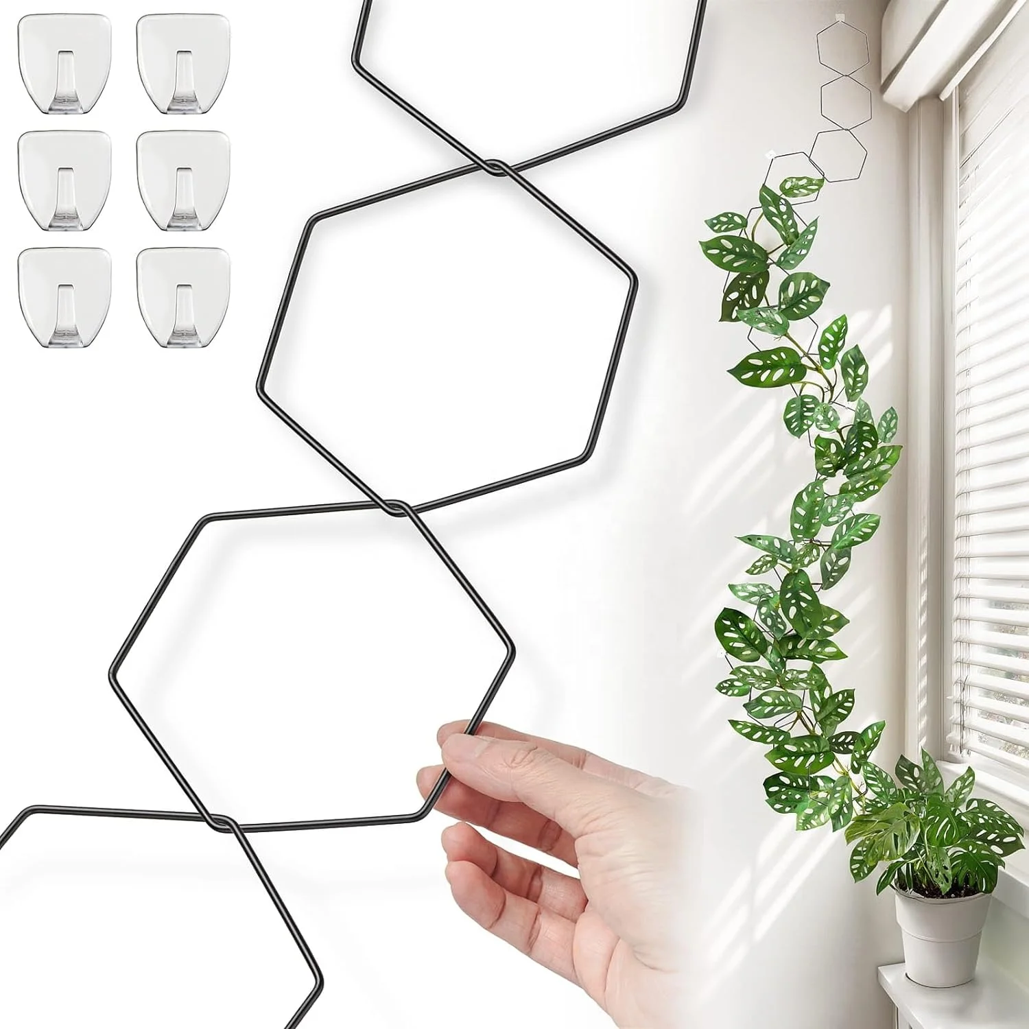 Vine Plants Chain Trellis Climbing Plants for Potted Plants