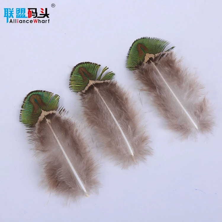 Factory Bulk Sale Cheap Natural 4-8cm Dyed Mint Green Gold Trimmed Short Small Size Peacock Feathers For DIY Clothing Decoration