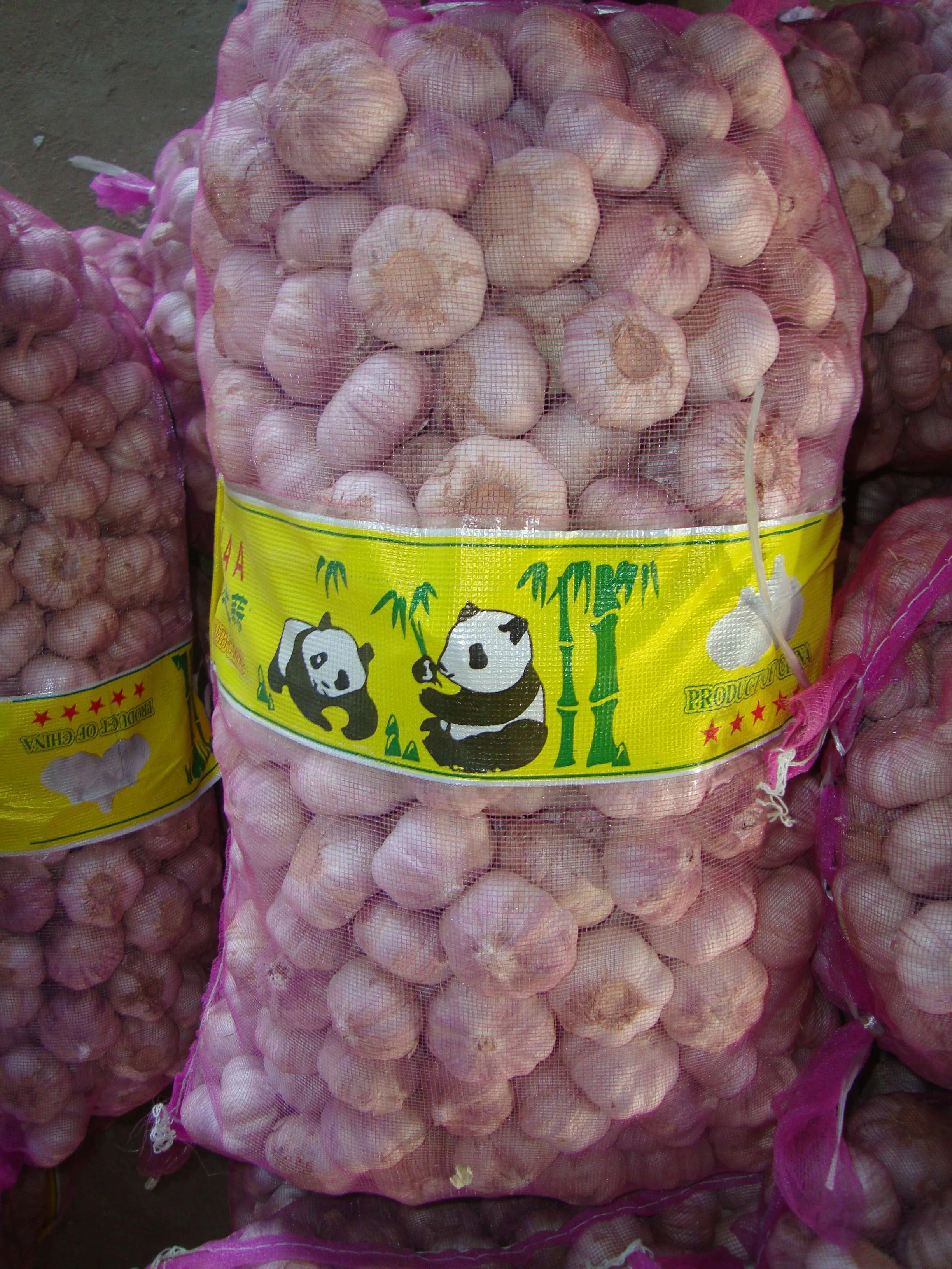 Wholesale Premium Quality New Fresh Vegetables Garlic With Cheap Price
