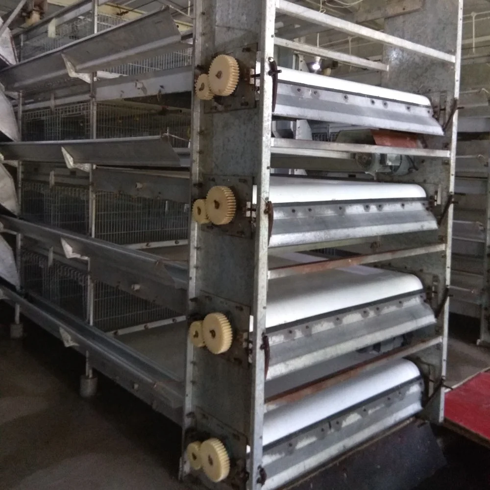 manure conveyor belt for poultry farm dung cleaning