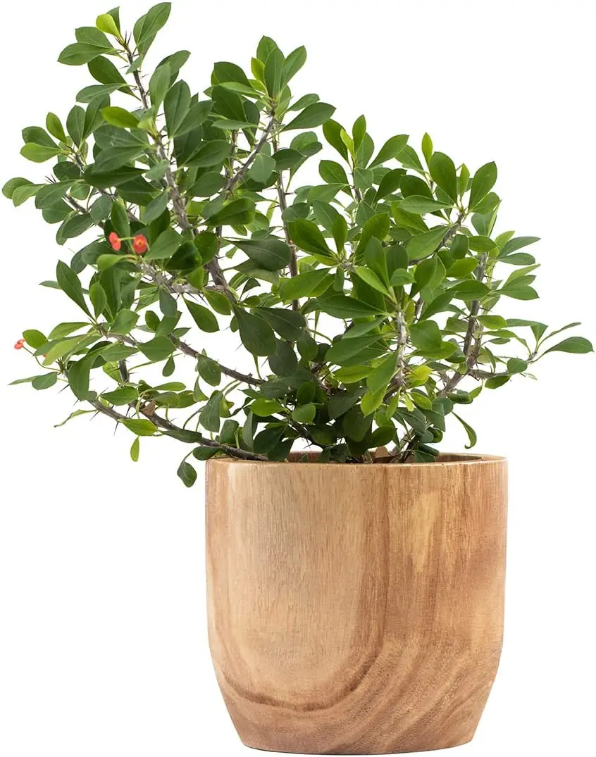 Wooden Planter - Planter Pot for Indoor Plants and Flowers, Modern Mid-Century Design, Decorative Plant Pot Container