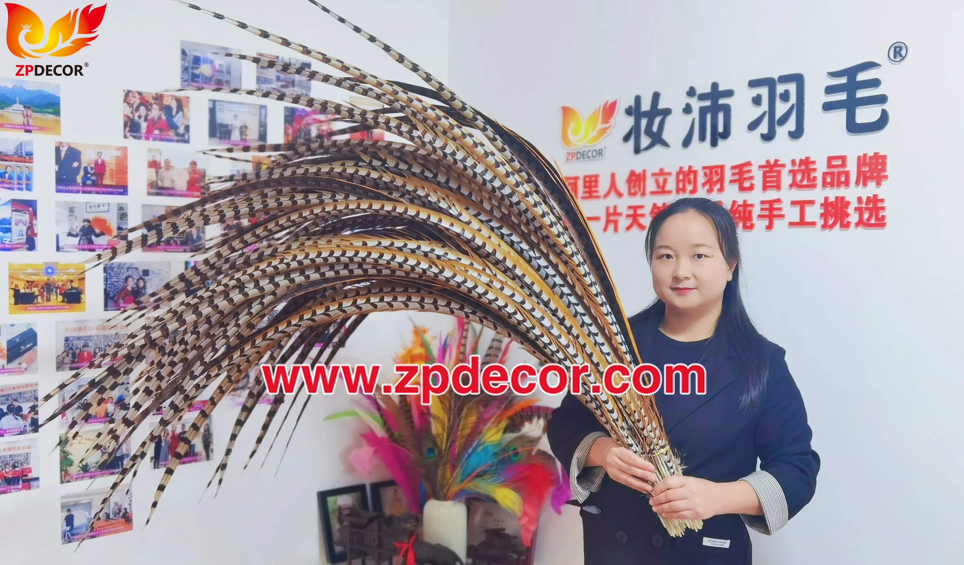 Factory Wholesale from ZPDECOR  150-160 cm Super Long  Natural Reeve Pheasant Tail Feathers for Carnival Costumes