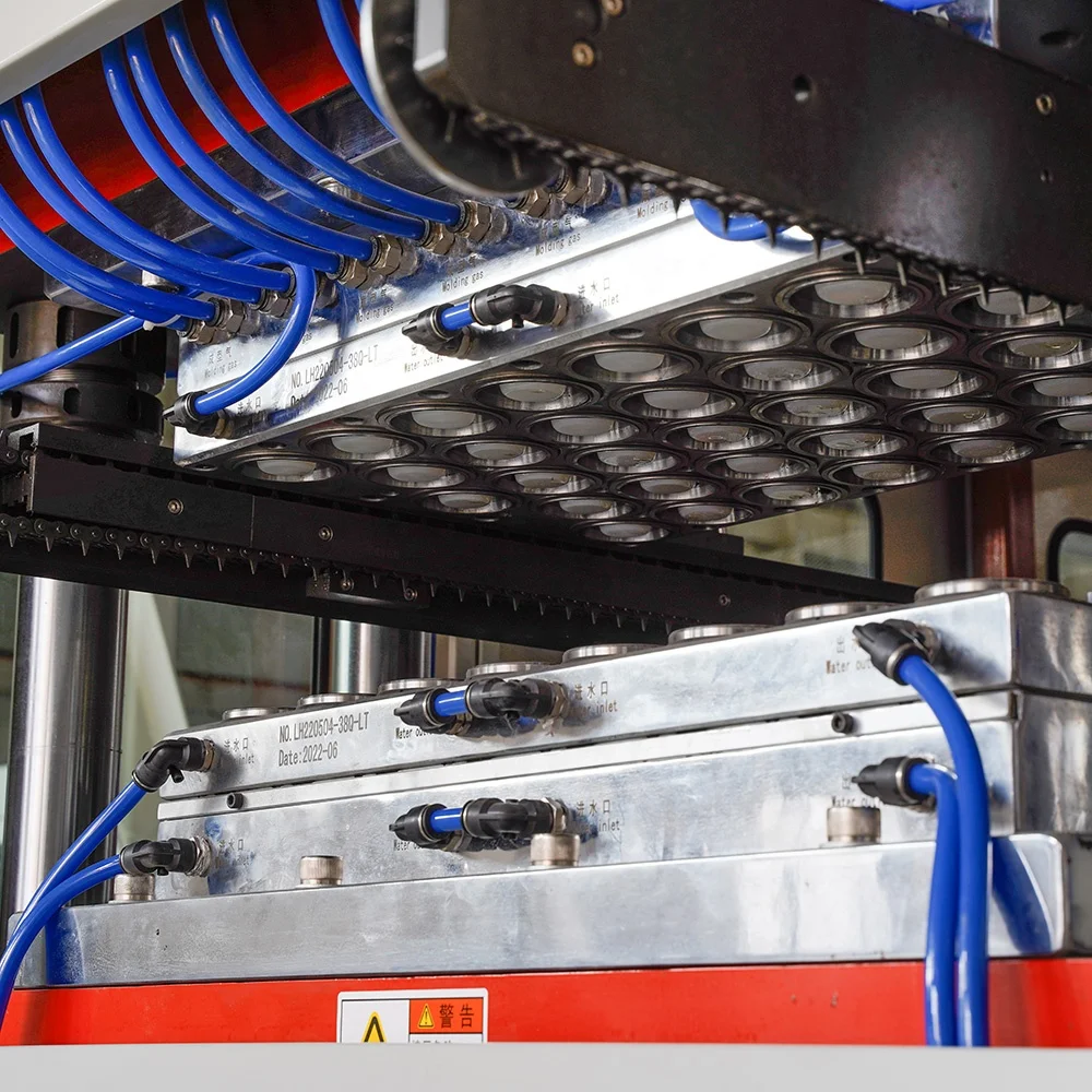 Auto Thermoforming Machine For Plastic Cup Sample