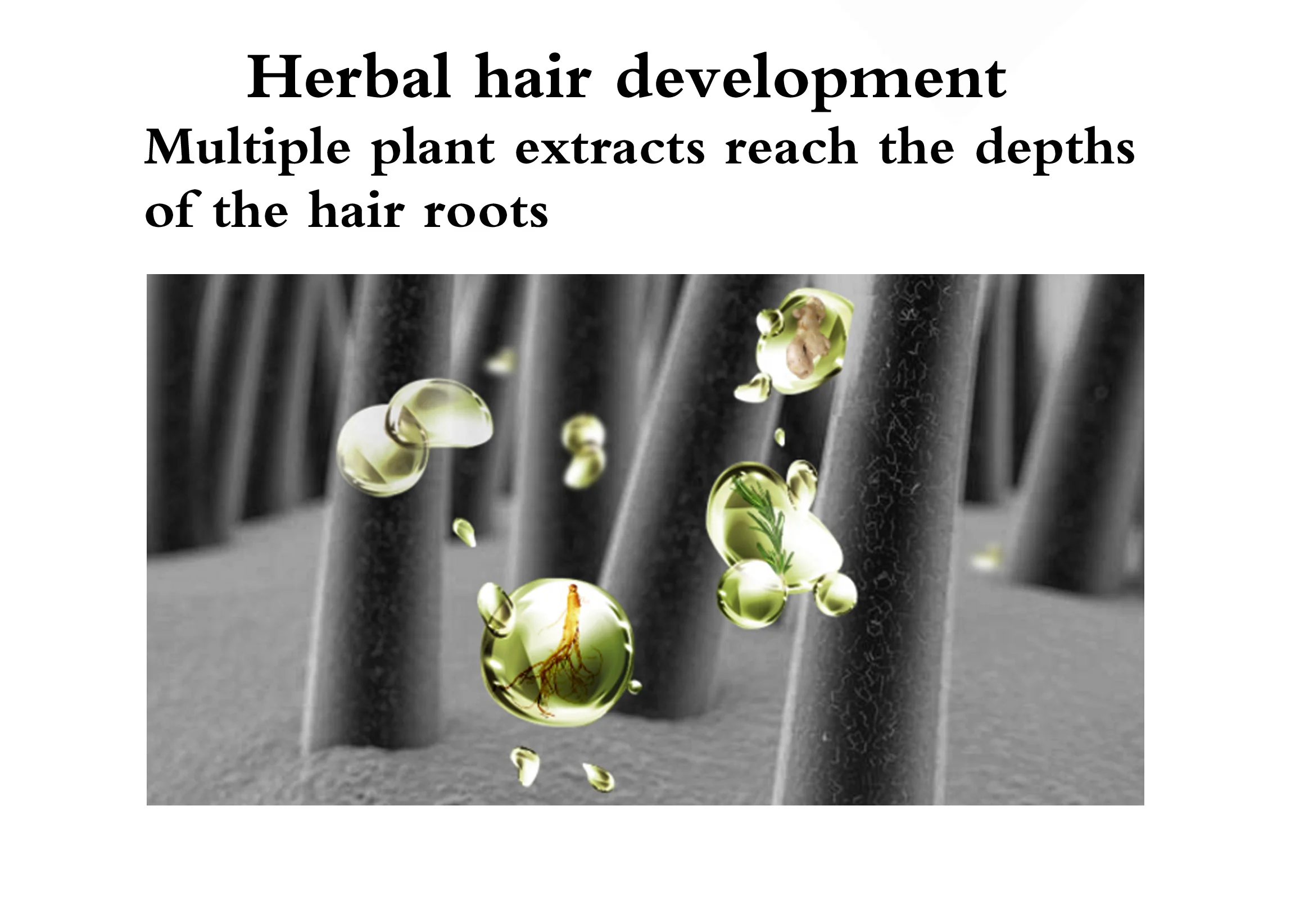 OEM ODM Private Label 100% Pure Natural Organic Osmanthus Repairing Stimulate Skin Care Unilateral Osmanthus  Essential Oil