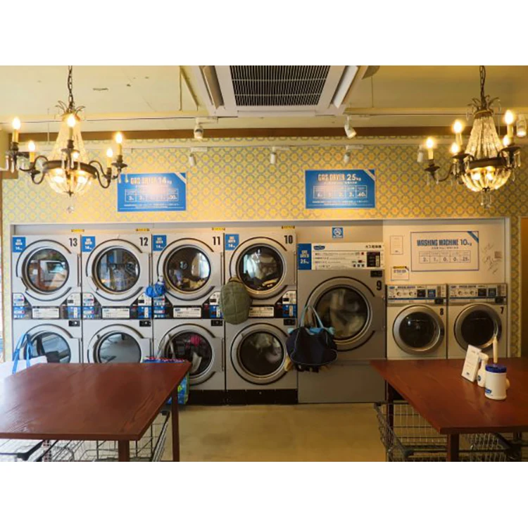 Design And One-Stop Supply Service 1-7 Star Hotel Commercial Laundry Room Graphic Designers Service