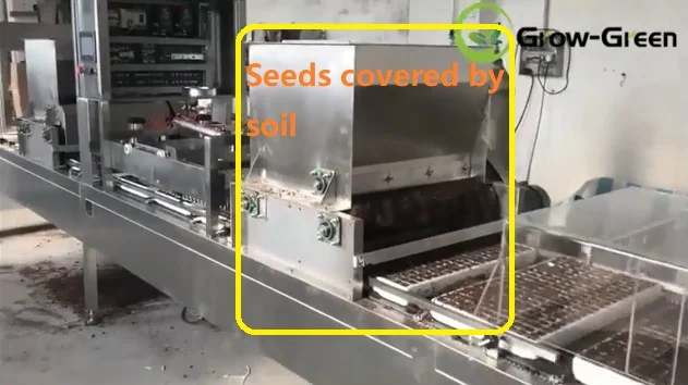 seeds sowing machine 1000.jpg