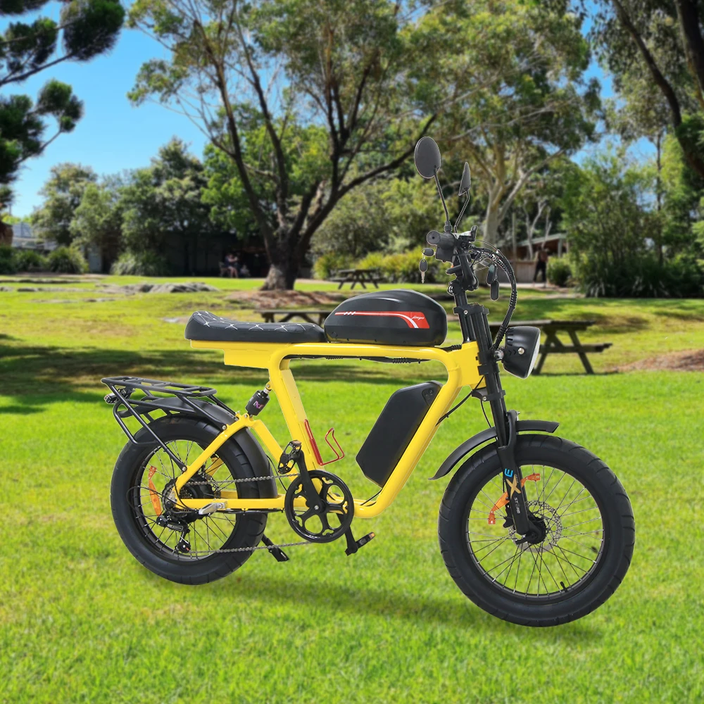 1000W Fat Tire Ebike 48V Electric Bike Dual Motor 7Speed Lithium Battery Electric Bicycle 20 Steel Frame Electric Mountain Bike
