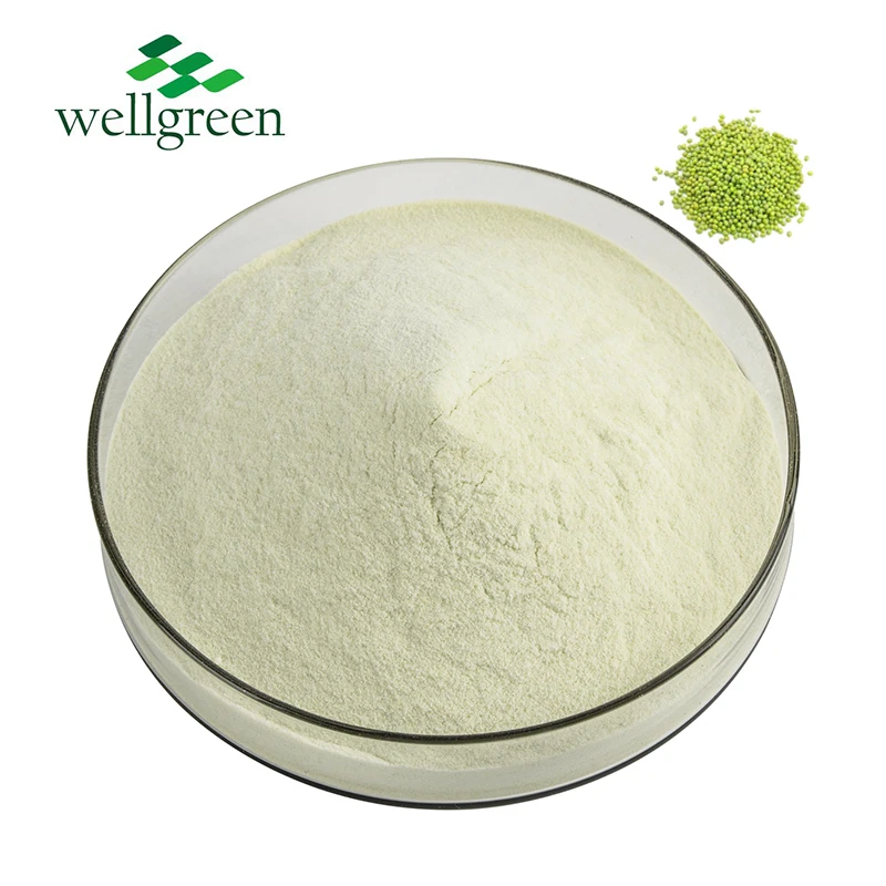 Hot Selling Plant Protein Mung Bean Protein Powder 90% Isolate Powder for Dietary Supplement