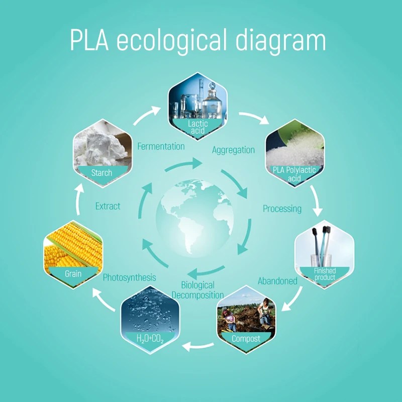 Manual toothbrush High standard home use massage gums plastic manual adult Nylon Bristle Toothbrush