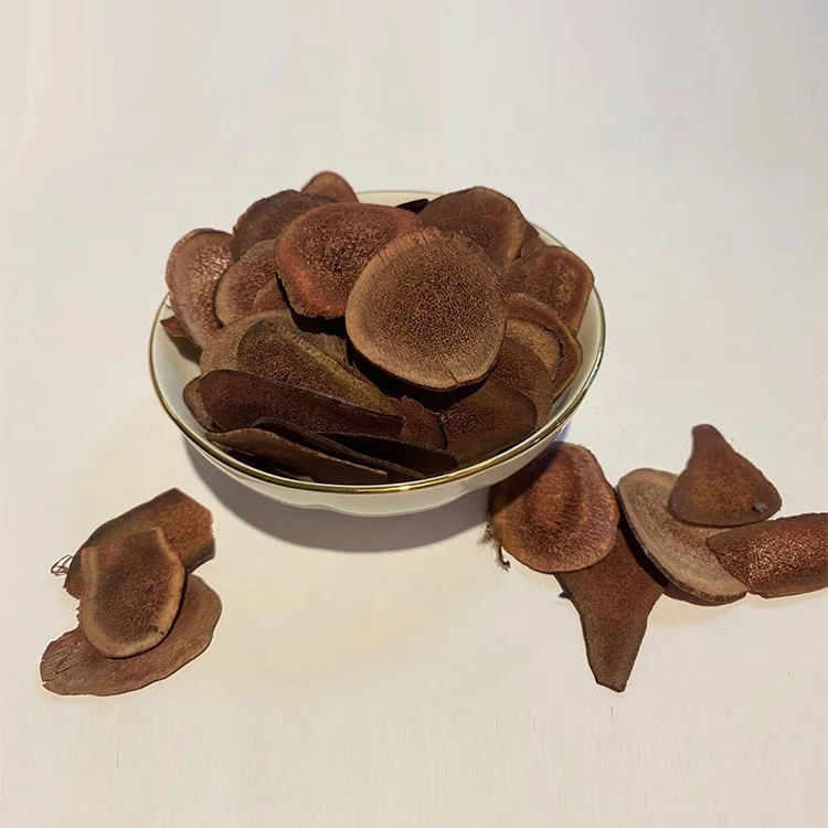 
Wholesale High Quality Fresh Red Deer Antler Made Slices cartialgenous 