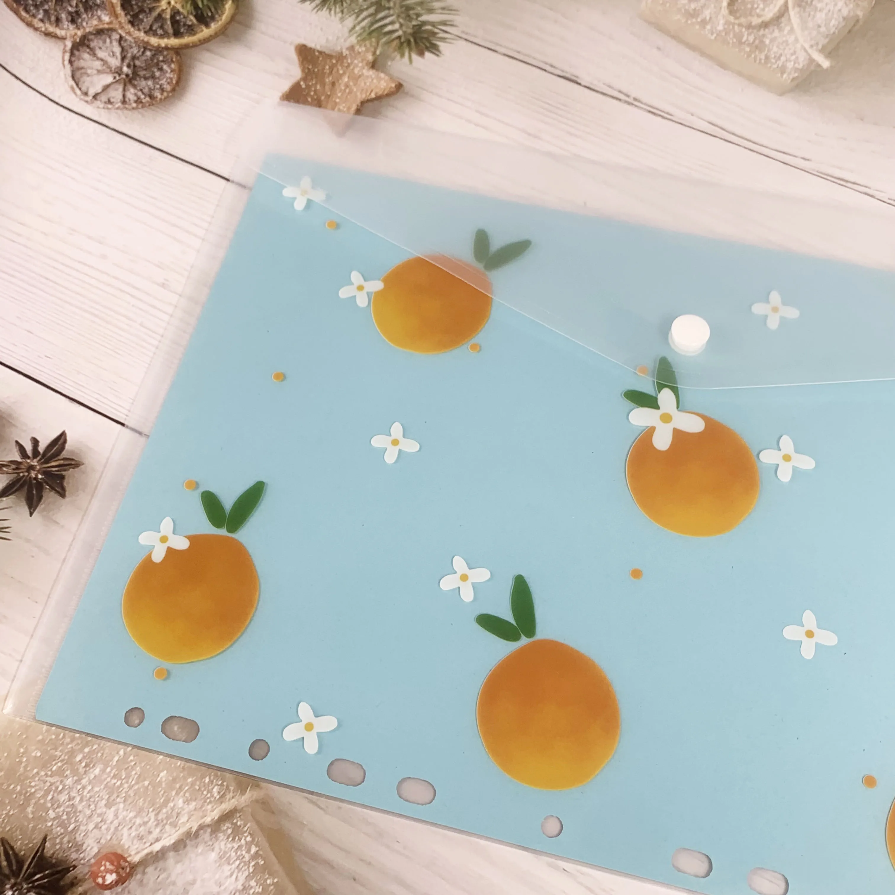 Custom PP Plastic A4 A5 B6 Envelope Document Snap Closure Folder Clear Button File Bag