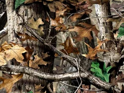 1080P High Definition IP66 Waterproof Hunting Trail Camera 42 pcs 850nm infrared lamps Support Wifi and Plus version