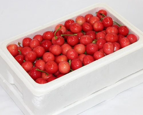 China EPS styrofoam customized size protective packaging insulated shipping box for fruit vegetable fish