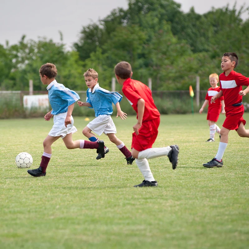 Factory Wholesale Soccer Field Turf Artificial Turf For Sale,cheap Sports Flooring Football Artificial Grass