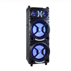 New Arrival Big Size 160W Active Double 12 Inch Super Bass Audio System Outdoor Trolley Party Speaker Karaoke DJ Speaker