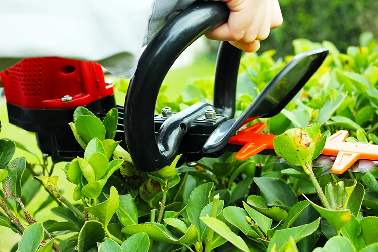 Powerful household new energy garden tool 36V big capacity battery pack brush-less iron-less disc motor