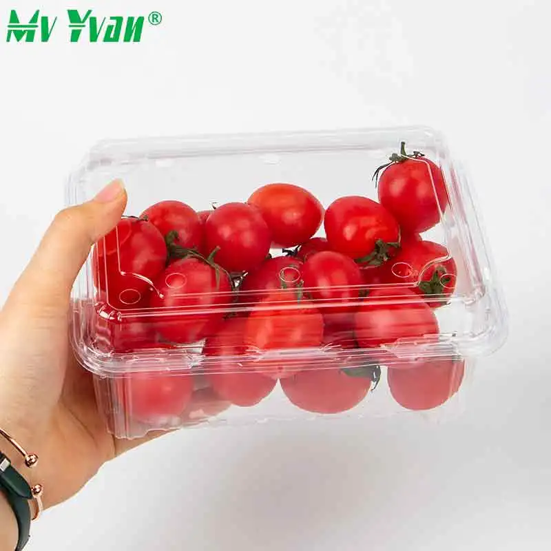 Clear Blister Pet Plastic Food Grade Clamshell Fresh Fruit and Vegetable Container