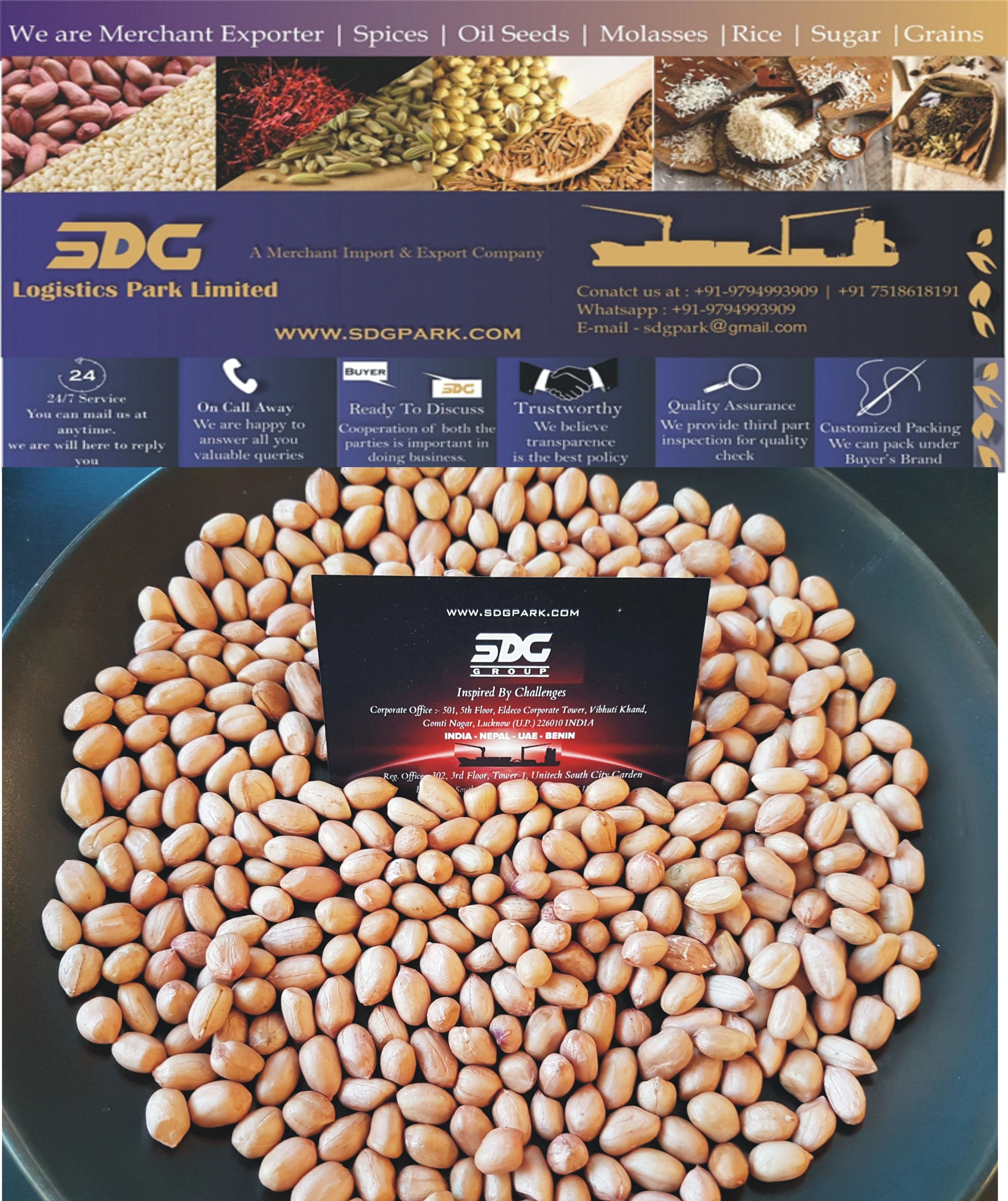 Premium Quality Mungfali Dana 50/60 JAVA Peanut Groundnut in jute bag supplier in India