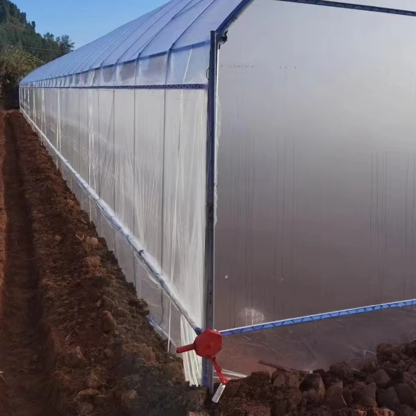 Прямые продажи с завода недорогие небольшие сельскохозяйственные тепличные оконные роликовые пленки
