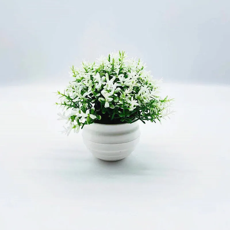 Artificial Plant Pot Ornamental Photo Props Plastic Desktop Fake Grass Plants for Home Decoration
