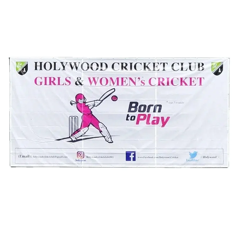 Personalized Mesh Banners with Vibrant Colors and Patterns Ideal for Commercial Exhibitions and Celebrations