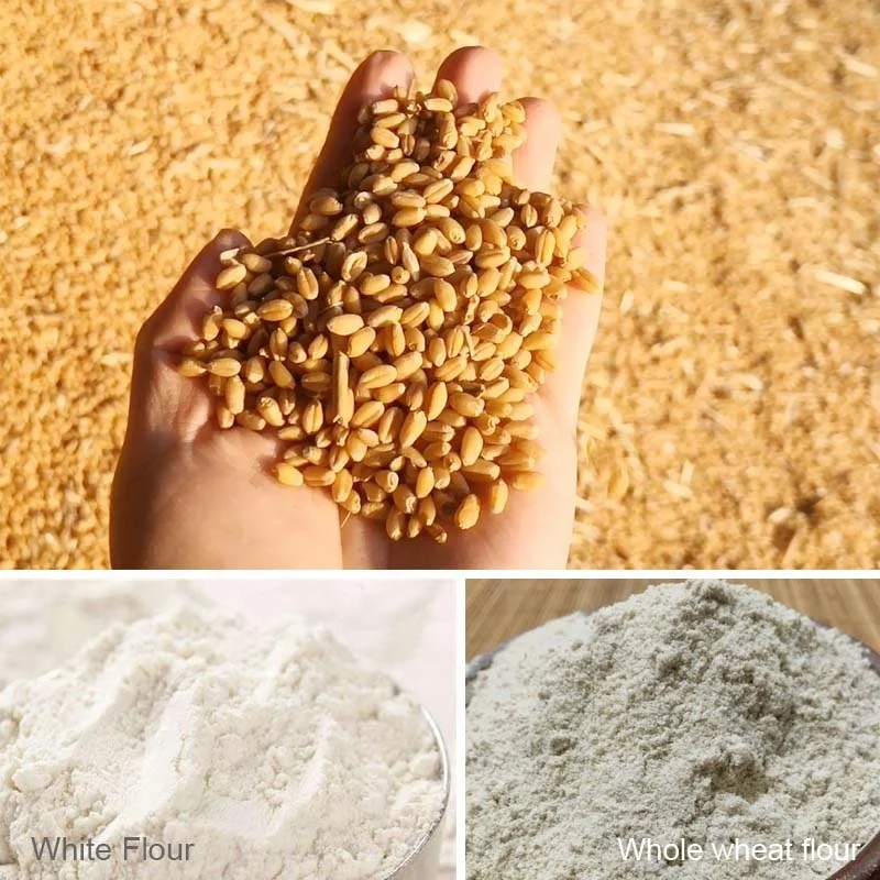 wheat flour mill plant flour mill plant atta chakki machine commercial atta flour mill machine maize grinding machine