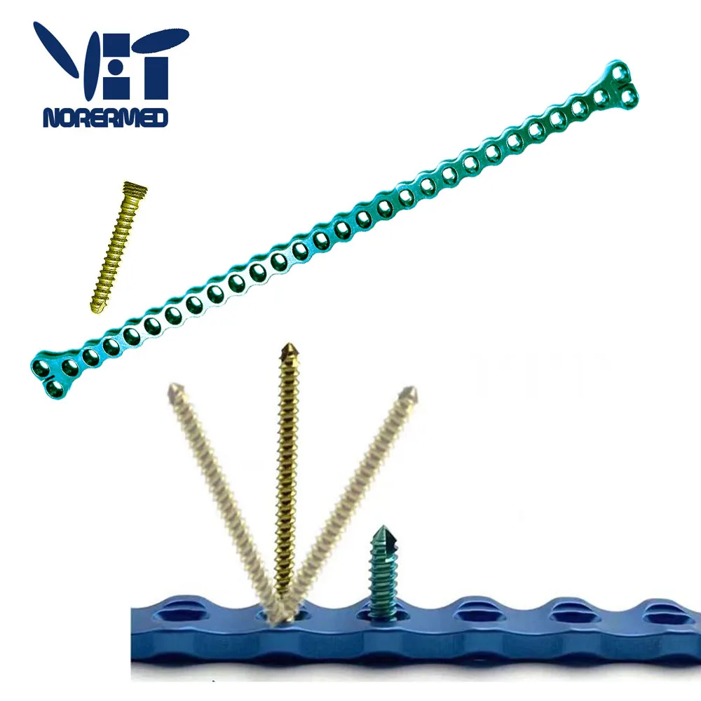 China Manufacturer Veterinary Orthopedic Titanium AO TYPE Mono axial Locking Plate Implant for Cat and dog fragment surgery