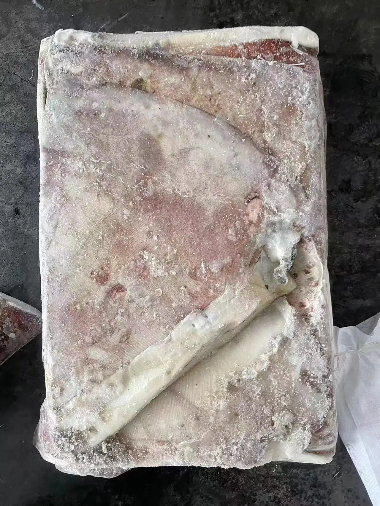 Peru squid dosidicus gigas  wings With skin  dosidicus gigas wings Peru Squid wings with skin Skin on