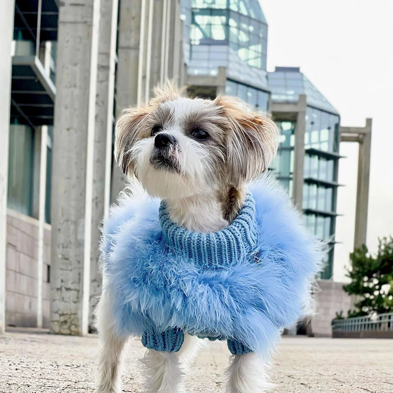 Designer Dog Clothes Knit Sweaters