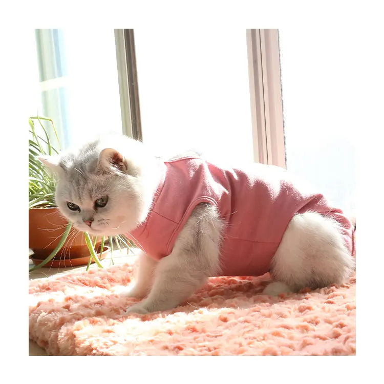 Maychan RECP Custom Scratch Prevent Soft Comfortable Cotton Pet Leisure Dog Cat Clothes