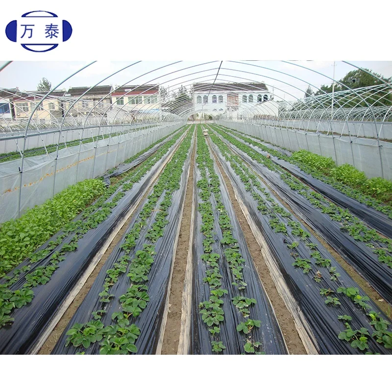 Black silver Mulch Plastic Film for Watermelon and Strawberry
