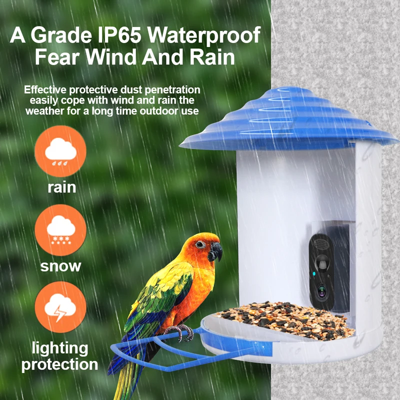 Wistino 1080p Auto Capture Bird Videos AI Smart Bird Feeder Camera AI Identify Bird Species Solar Wireless CCTV Camera