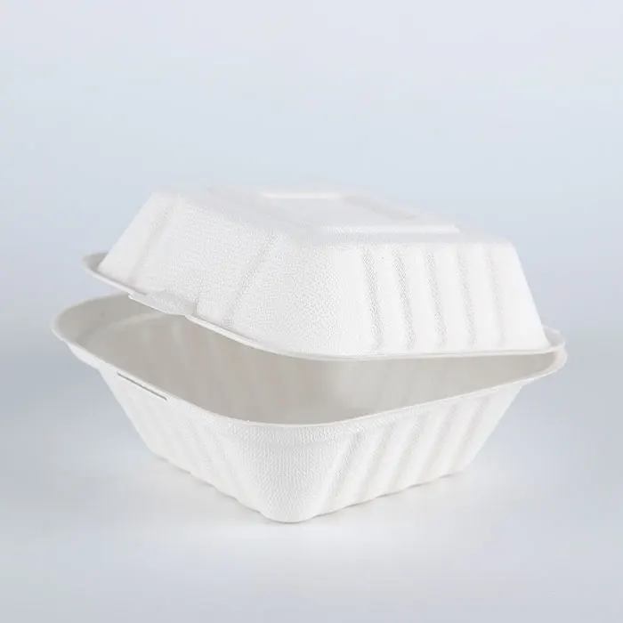 Biodegradable Sugarcane Takeaway Take Out Fast Food Packaging Box Food Containers Biodegradable Packaging