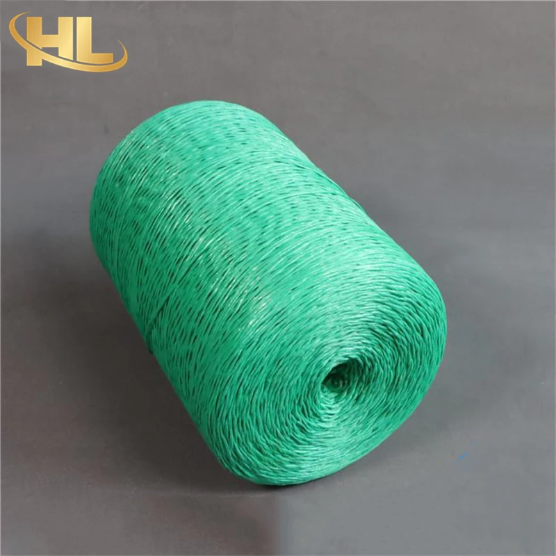Wuxi Henglong OEM Wholesale UV Treated Agro Greenhouse Horticulture Vegetable Fruit Plastic PP Polypropylene Rope 12mm