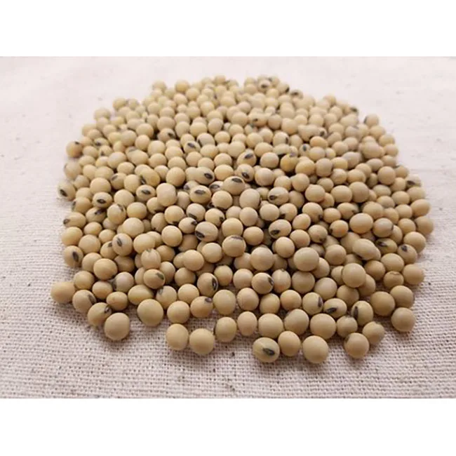 
 Лидер продаж в Южной Африке, Желтый соевый бобов высокого качества  