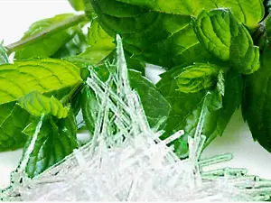 OEM/ODM supply food flavor cool mint oil inhalation wholesale natural high quality menthol crystal mint in bulk