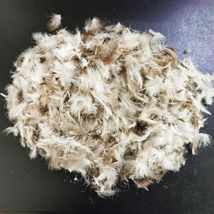 Quality Assure 4-6cm Grey Duck Feather in Bulk for Pillows Filling Duck/Goose