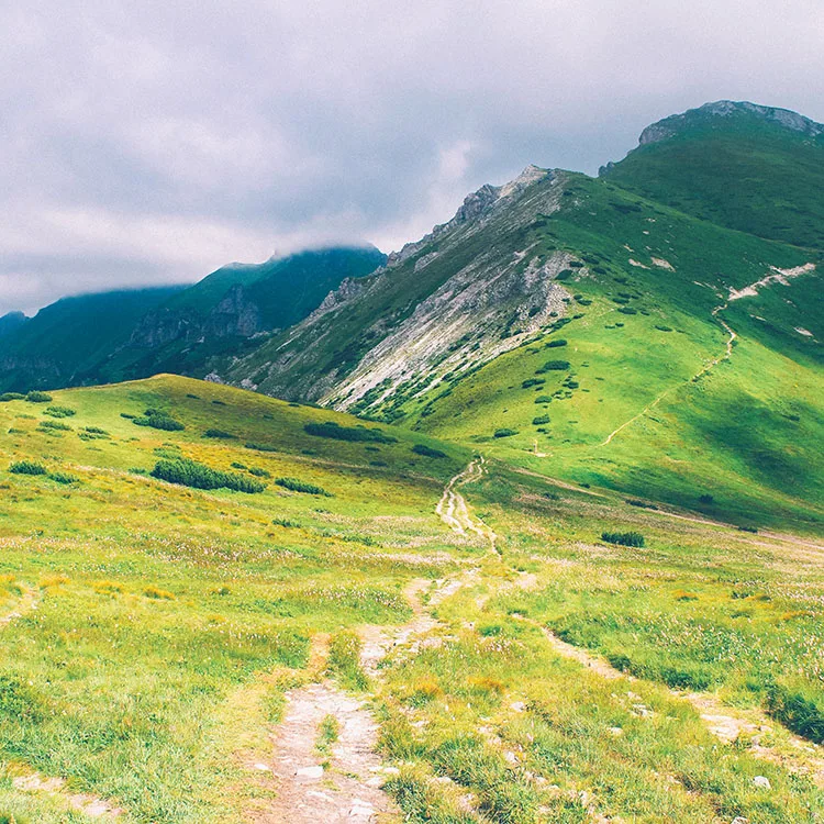 Scenery Arts and Crafts Home Wall Decor Handmade Oil Painting