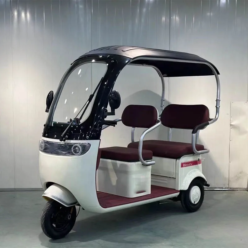 New Product Three Wheel Electric Leisure Scooter Tricycle 600-1200W Adult Electric Tricycles With Roof