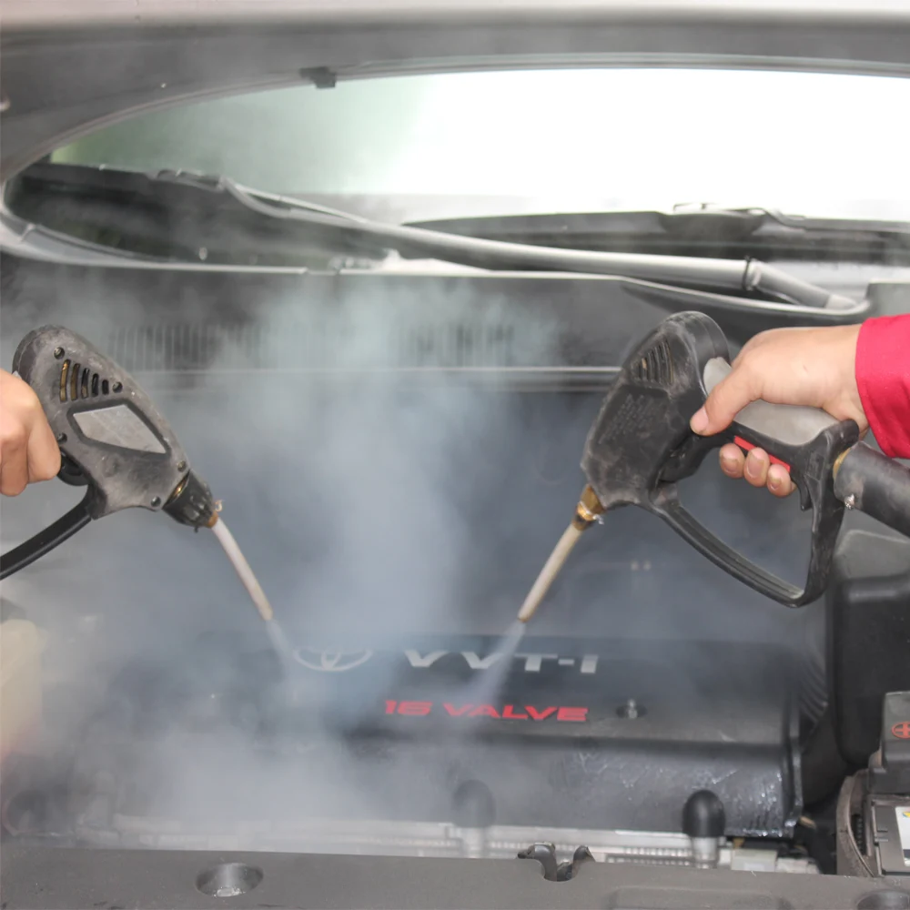 Professional Factory Manufacturer of Steam Car Washer